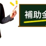 ガソリン補助金は政府が良くやってくれているのか？